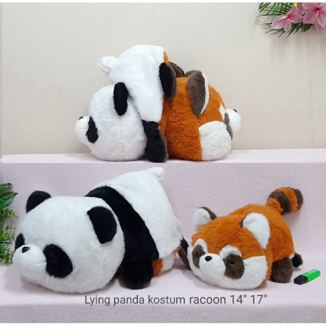 Boneka Panda Kostum Racoon - Boneka Racoon Kostum Panda