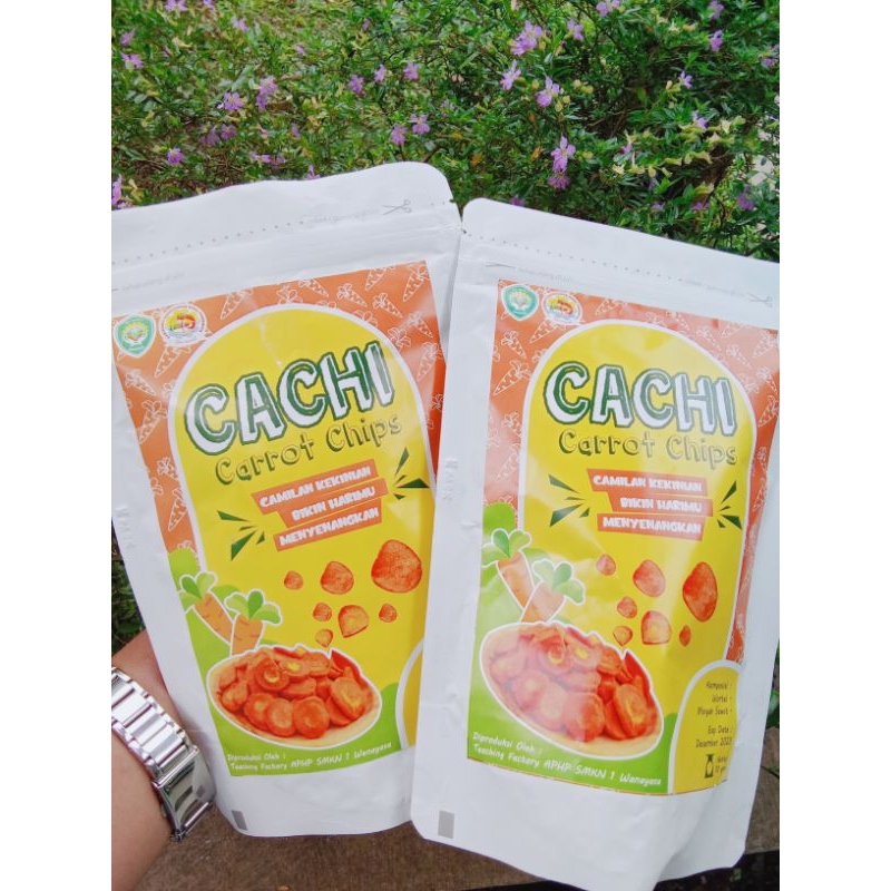 

CACHI (carrot ships)