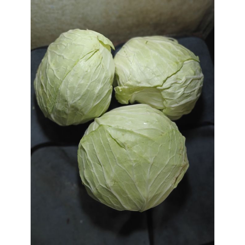 

kubis / sayur kol segar 500gr