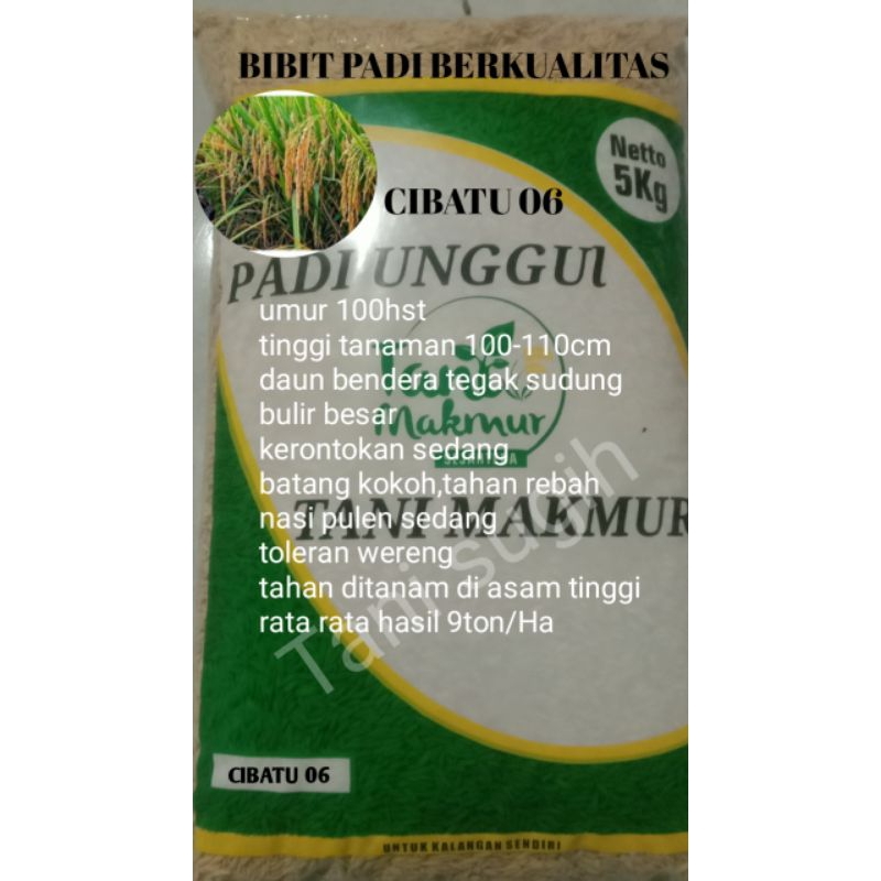 BENIH PADI CIBATU 06 kemasan 5kg, bobot bagus hasil mantap