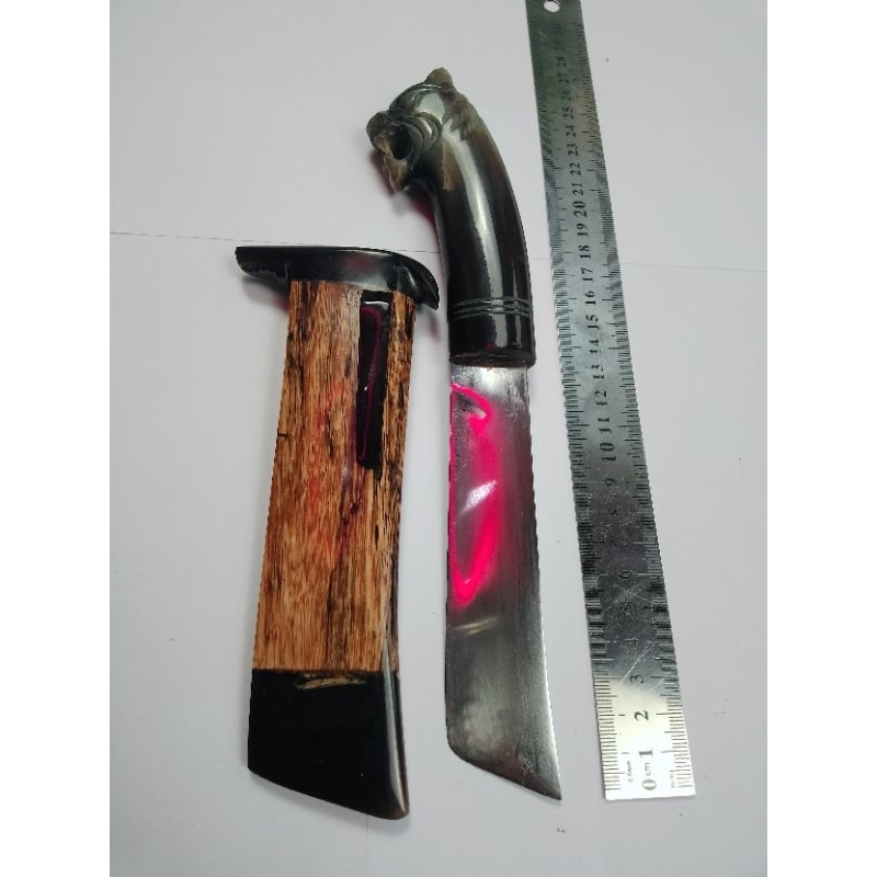 gocil tanduk 13cm
