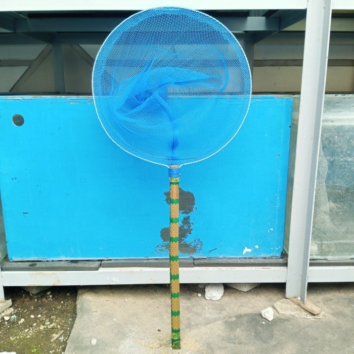 Jaring Polynet Ikan 50Cm │ Serokan Ikan Koi & Nila │ Nilon Halus Gagang Kayu │ Alat Angkat Ikan Kola