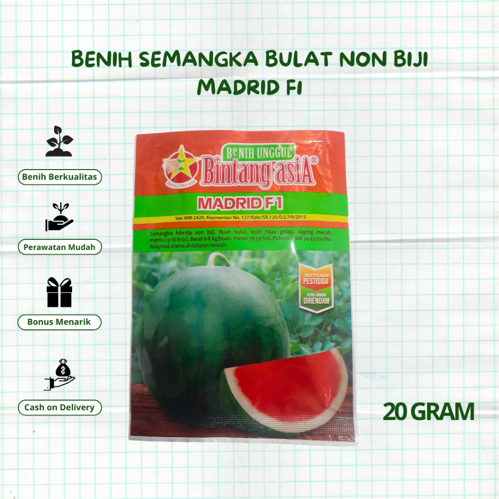 Benih Bibit Semangka Madrid F1 Bulat Non Biji