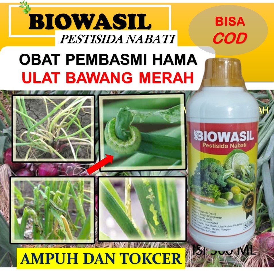 PROMO BIOWASIL 500 ML pupuk terbaik PESTISIDA HAMA ULAT BAWANG MERAH,BAWANG DAUN,PADI obat hama ulat