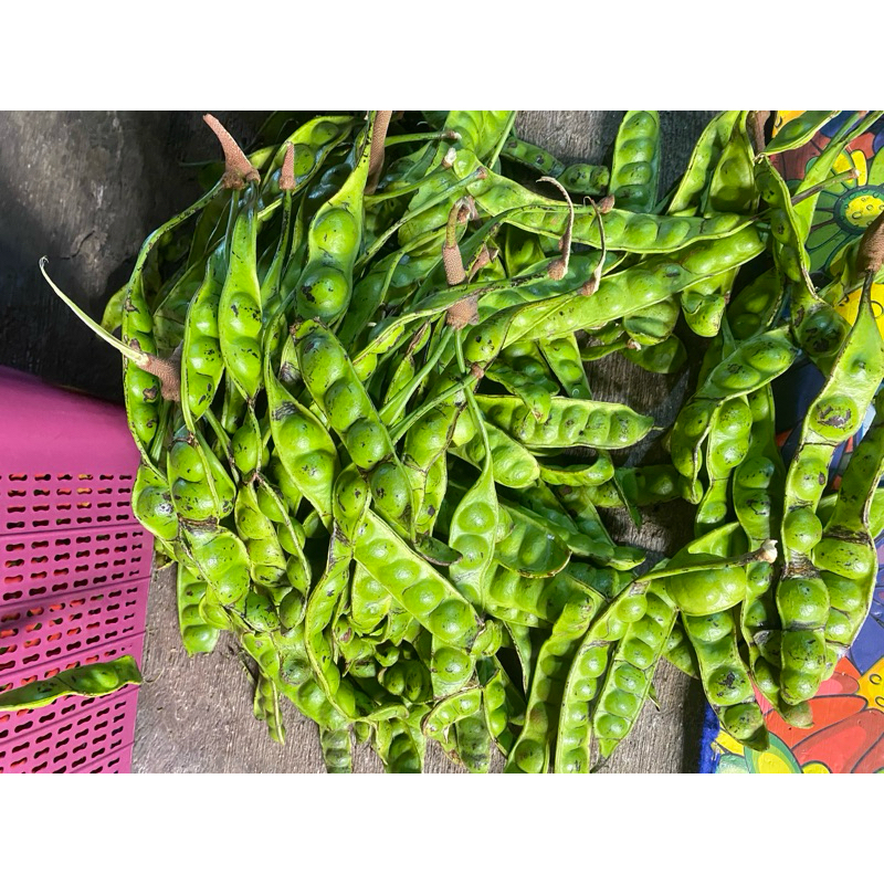 

Pete sortiran tua 1 Kg