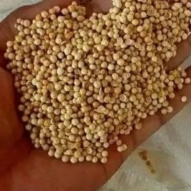 

ketumbar biji 100g