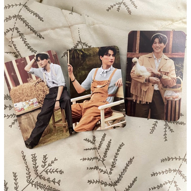 [BOOKED] PC GULF SET PET HIPSTER