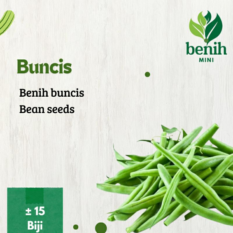 

Benih Buncis putih Unggul LEBAT F1