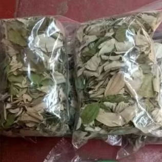 

Daun Bidara Arab Kering 100 Gram (Seduh Minum / Mandi / Ruqyah)