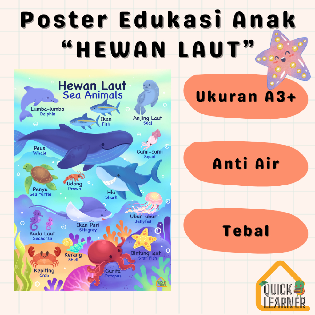Quick Learner Poster Edukasi Anak Belajar Hewan Laut Untuk Pendidikan Anak Paud TK SD
