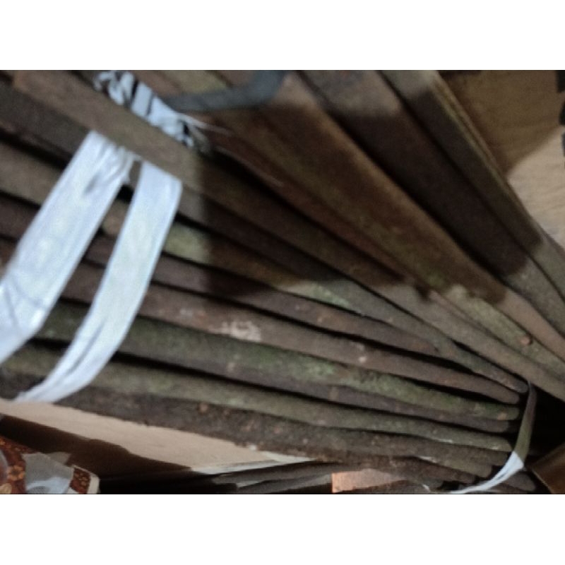 tangkringan asem bali grade A