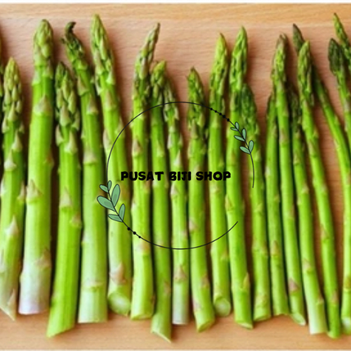 Asparagus Biji Benih Siap Tanam Isi 20 Pcs Seeds Bibit Aspragus