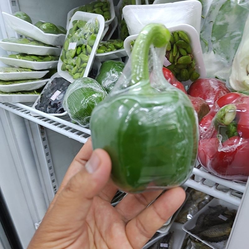 

PAPRIKA HIJAU BIJIAN SATU