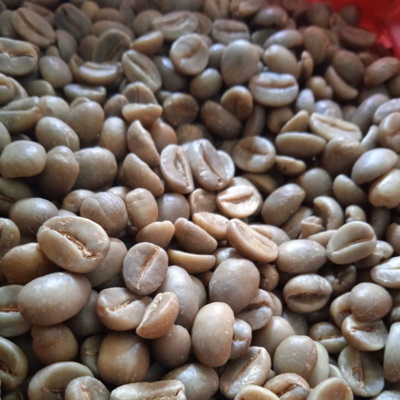 

GREENBEAN ARABICA SEMERU Grade-A 1kg