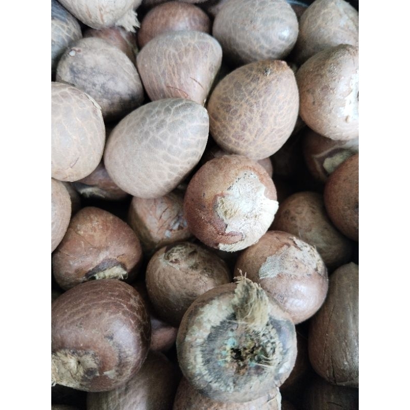 

biji buah pinang 1kg