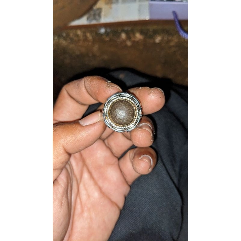 Munta besi aktif asli sulawesi