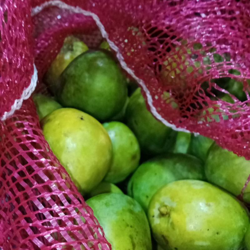 

3 kg mangga mardi