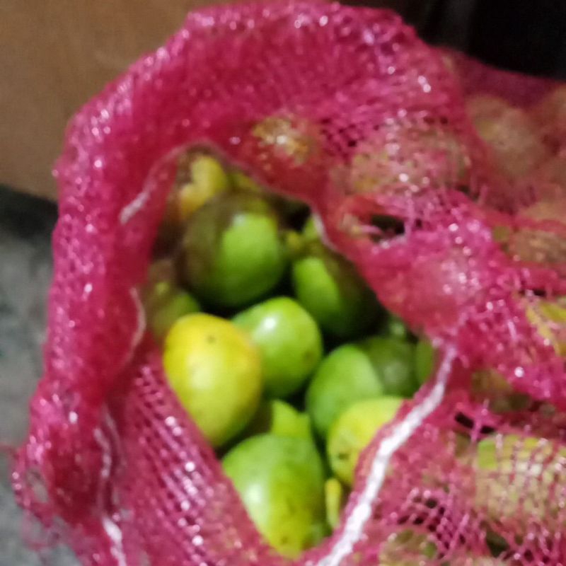 

mangga Mardi 2kg