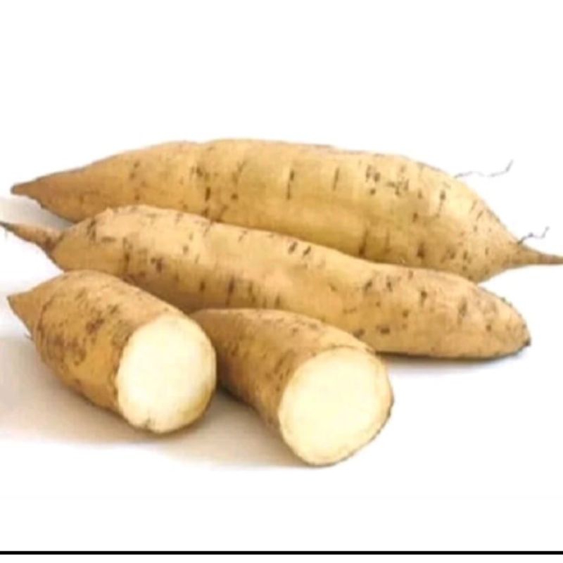 

Ubi Madu Cilembu Mentah Fresh 1Kg/500gr