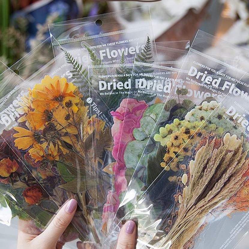 

Potongan MILOLI 6Pcs DRIED FLOWER Deco Aesthetic PET Sticker Planner DIY Scrapbook B412