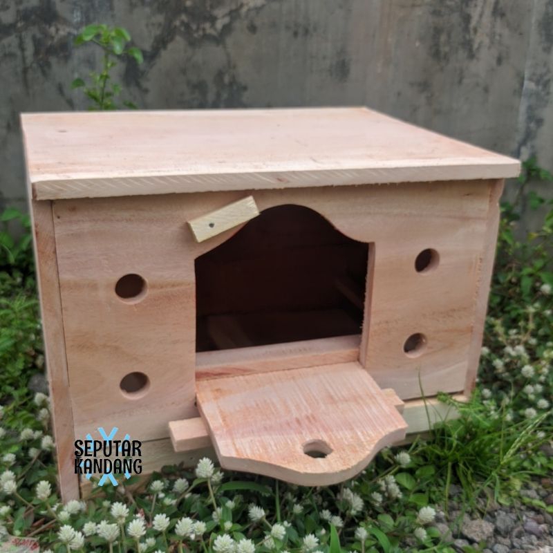 READY STOK || Kandang/Pagupon Merpati Burung Dara Merpati Ternak Sukses