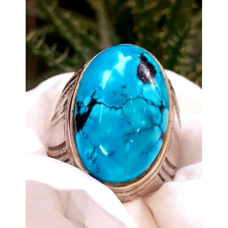Pirus Persia gradasi biru ceplok kuro
