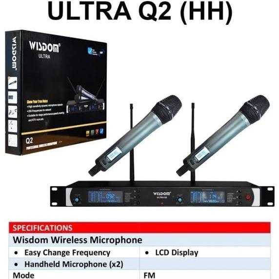 Mic Wireless Wisdom Q2 Profesional Microphone Wireless Original