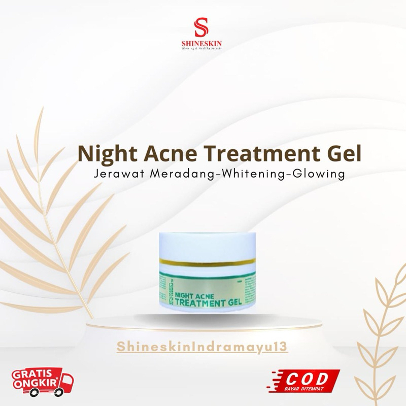 SHINESKIN NIGHT ACNE cream malam jerawat
