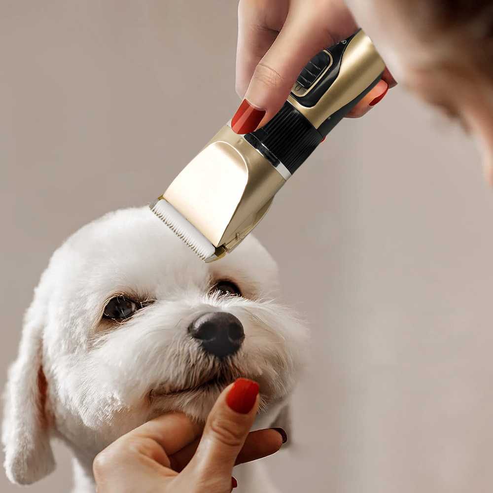 RETATARU. PUSAT BAORUN K5 ALAT CUKUR DOMBA GARUT ELEKTRIK / MESIN CUKUR KAMBING DOMBA GARUT ELEKTRIK