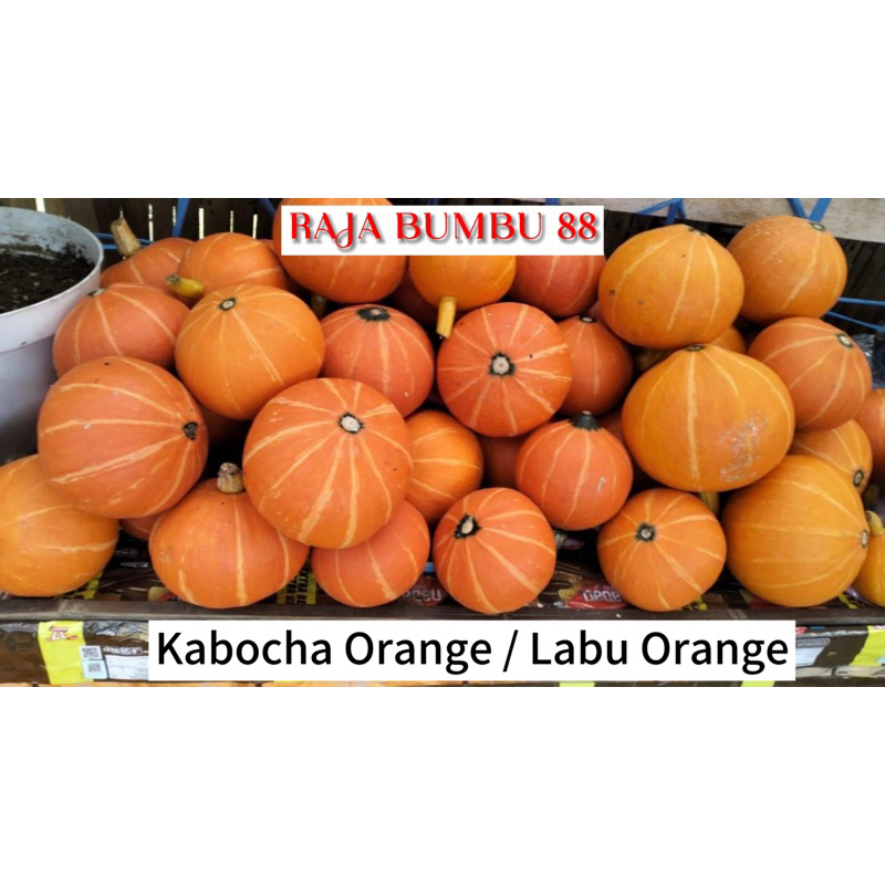 

KABUCHA ORANGE / LABU ORANGE 1 buah