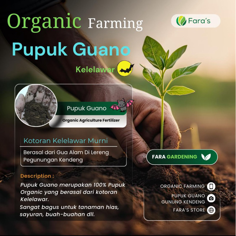 Pupuk Guano Pupuk Guano Pupuk Organik Kelelawar