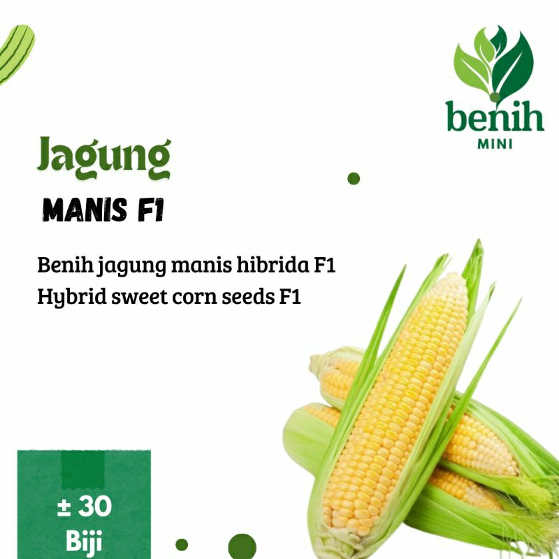 

Benih Pertiwi benih jagung manis hibrida F1 Exsotic repack