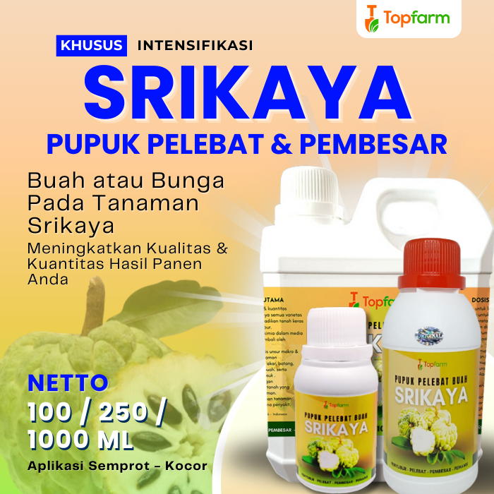 Pupuk Pelebat Buah Srikaya / Pupuk Buah Srikaya / Pupuk Booster Srikaya / Pupuk Khusus Buah Srikaya 