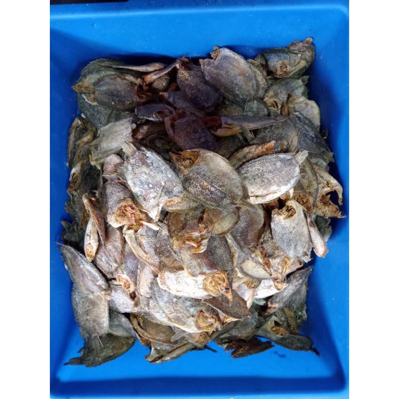 

IKAN ASIN SEPAT/ GEREH SEPAT BUNTUNG/ ERNA GEREH