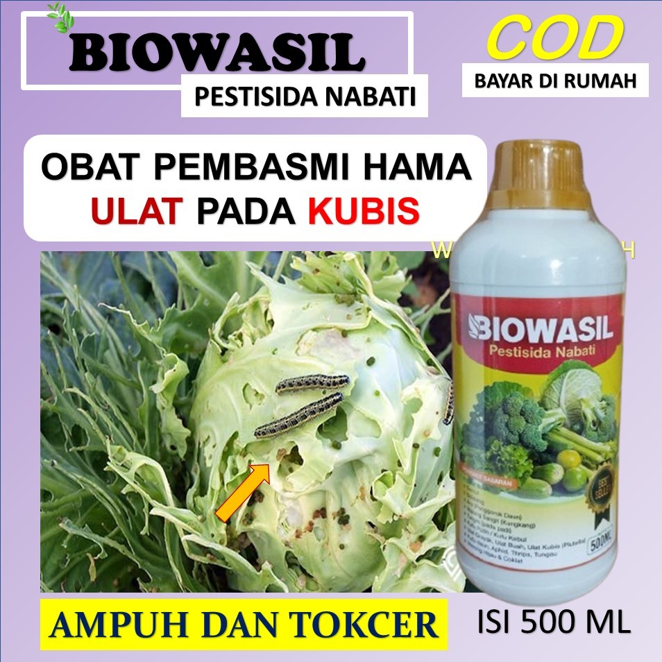 (SIAP COD) PESTISIDA BIOWASIL500 ML Obat Pembasmi Hama Ulat kubis Paling Manjur - Pupuk Pestisida Se