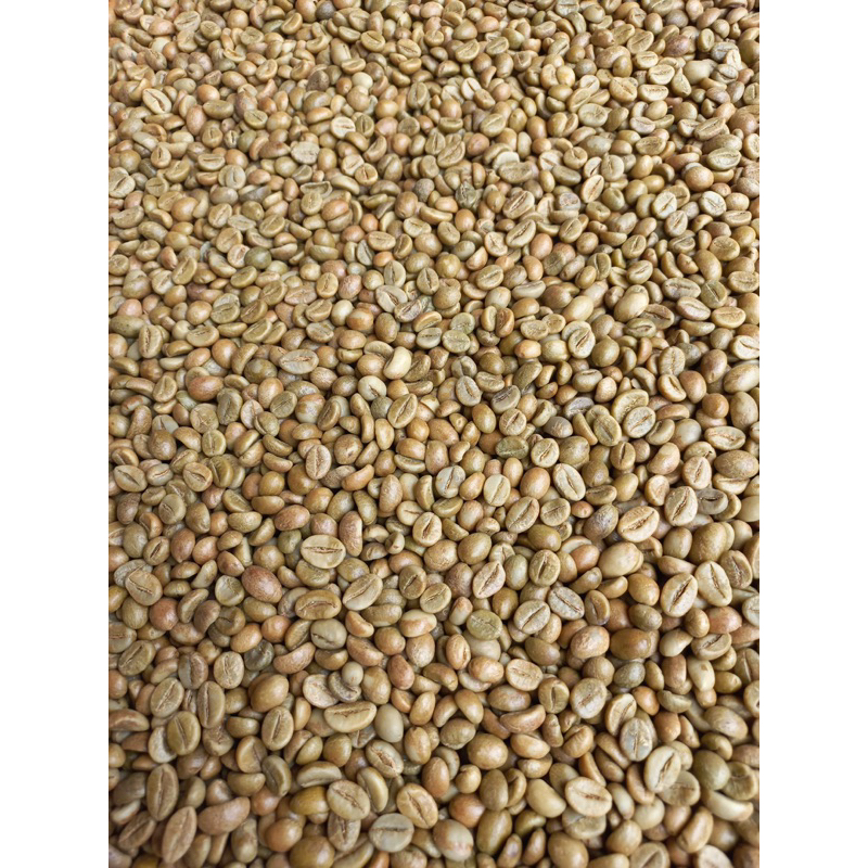 

Robusta Petik Merah (fine) 1kg | Mandalo Coffee Temanggung