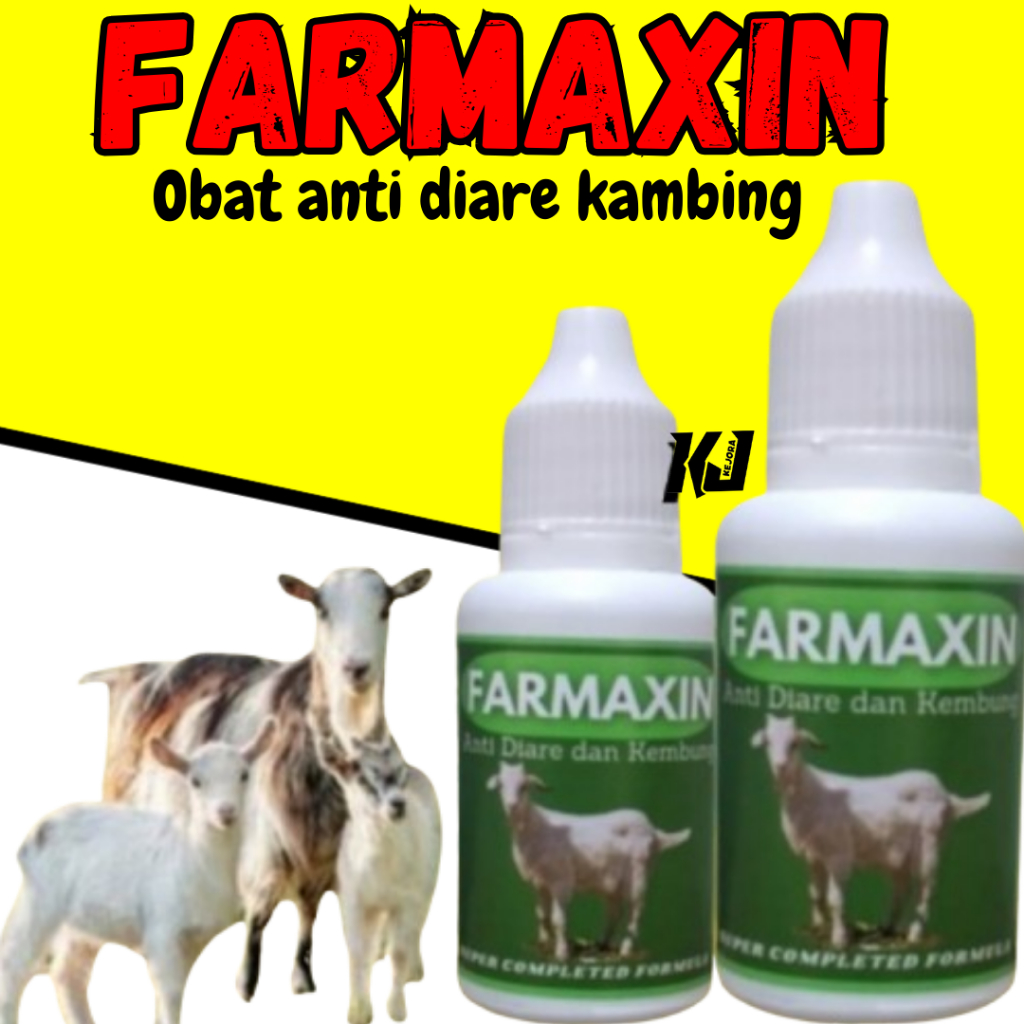 Obat Kembung Mencret Kambing Domba