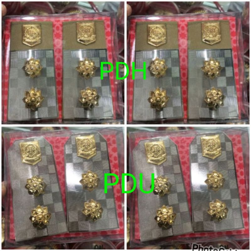 PANGKAT PDH WAKIL BUPATI/PANGKAT PDH WAKIL BUPATI/BUPATI