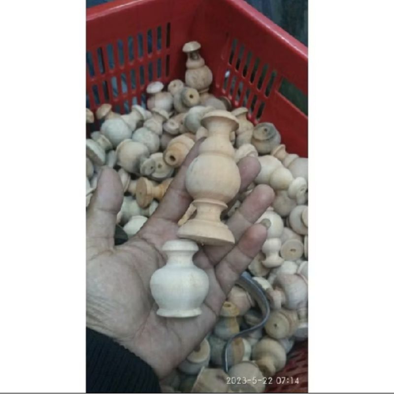 Pion Sangkar Murai Pion mentahan