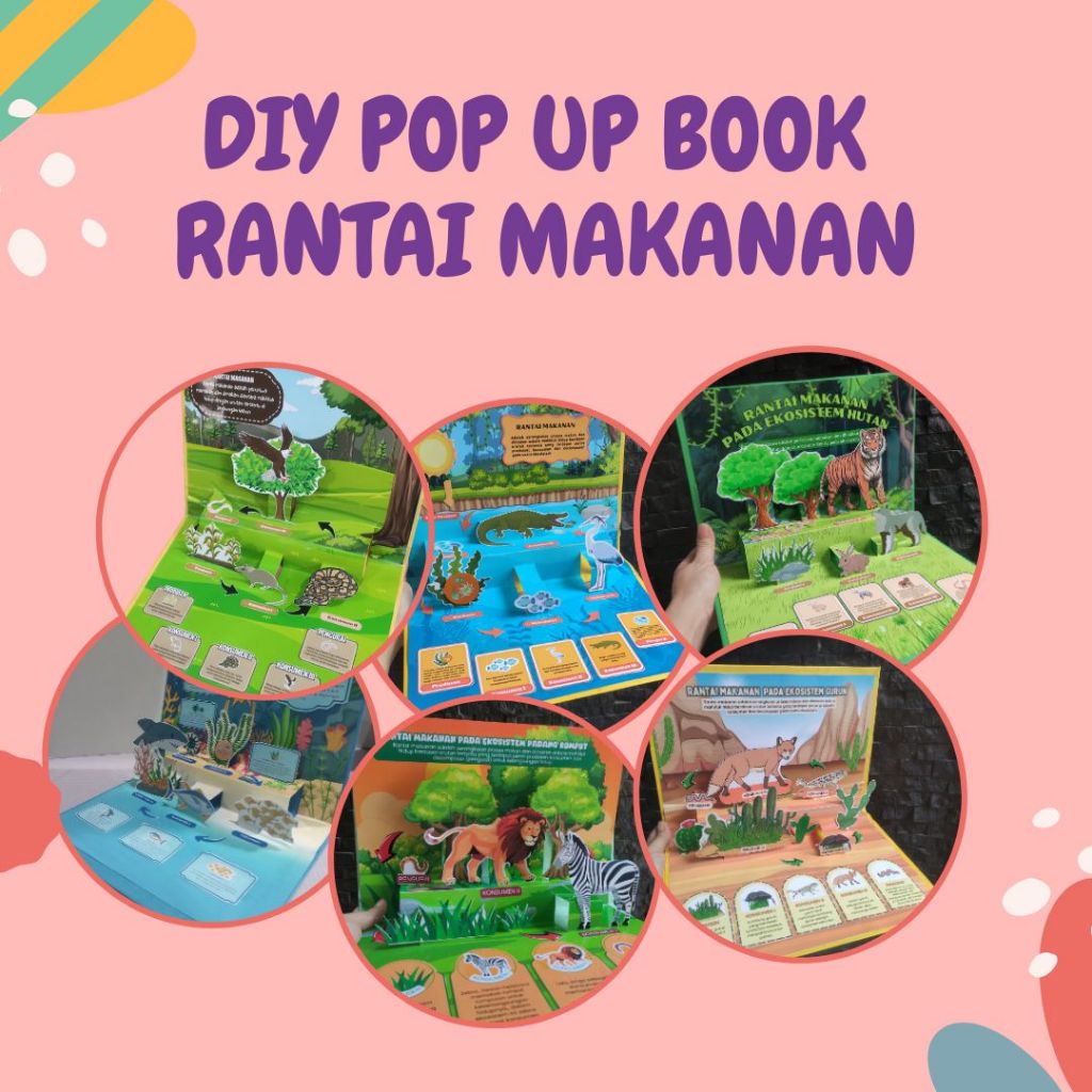 

PO DIY Pop up book rantai makanan