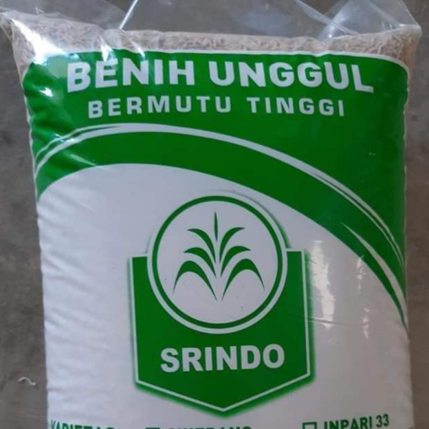 Benih Bibit Padi Unggul Varietas Ciliwung Terbaru