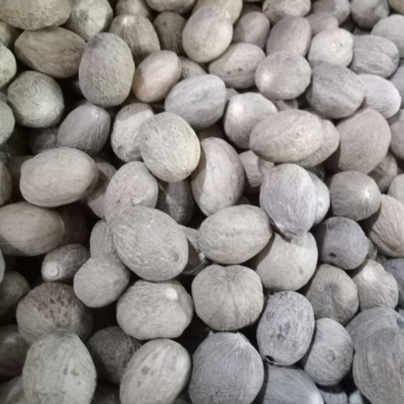 

Biji Pala Bulat (Utuh)/Nutmeg Whole Ukuran Sedang 500 gram