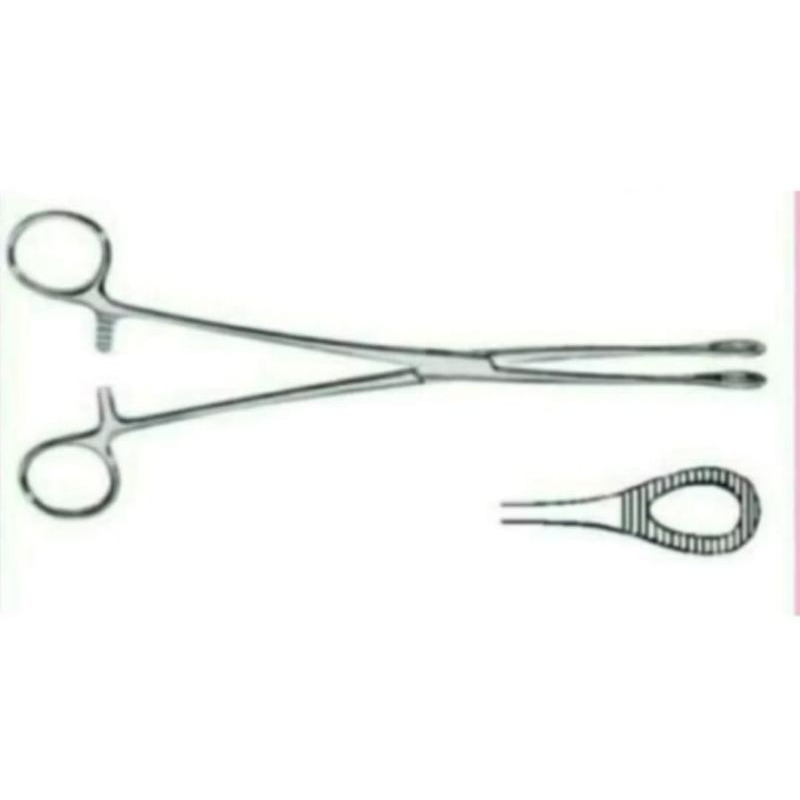 Venster Klem / Sponge Holding