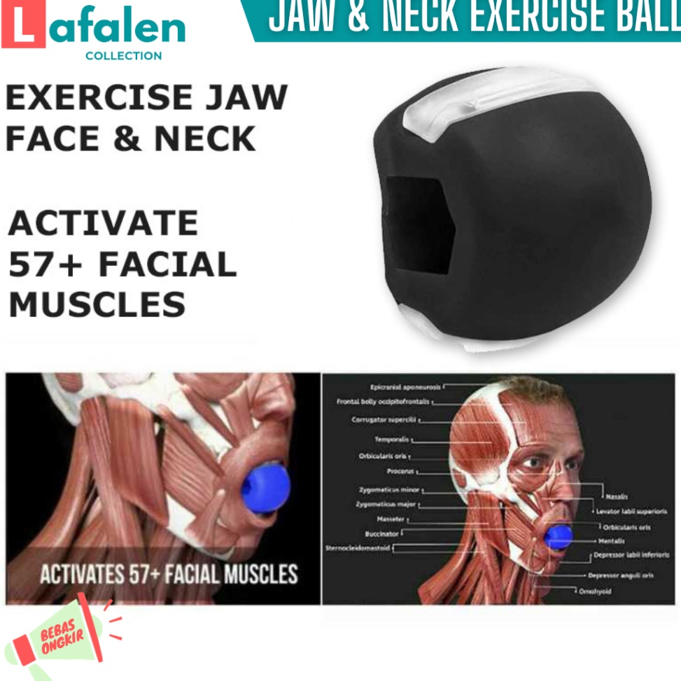 Get Order Latihan Rahang  Alat Olahraga Rahang Wajah Simetris  Jaw Exercise Silicone Training Ball