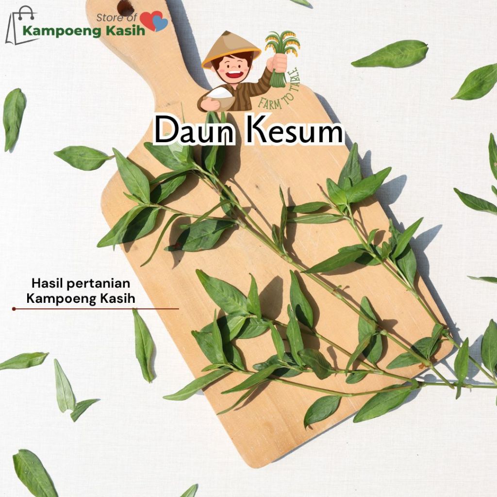 

Daun Kesum / Daun Laksa / Laksa Leaf / 100 Gram / Bumbu Rempah