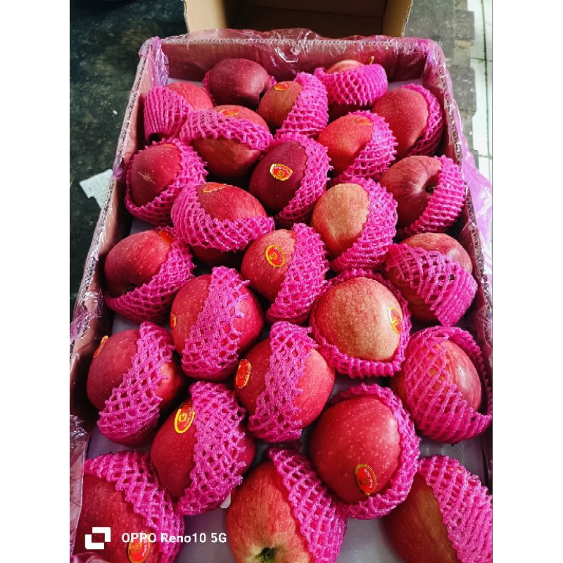 

APEL MERAH CHINA 1KG