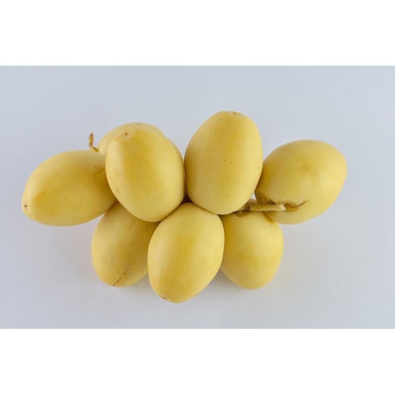 

KURMA MUDA BARKHE KUNING FRESH 1 DUS