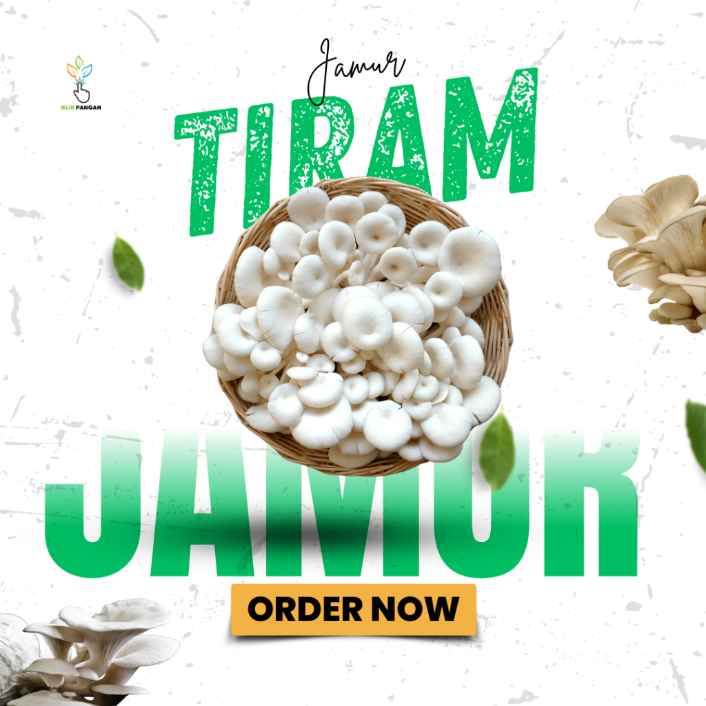 

Jamur tiram fresh