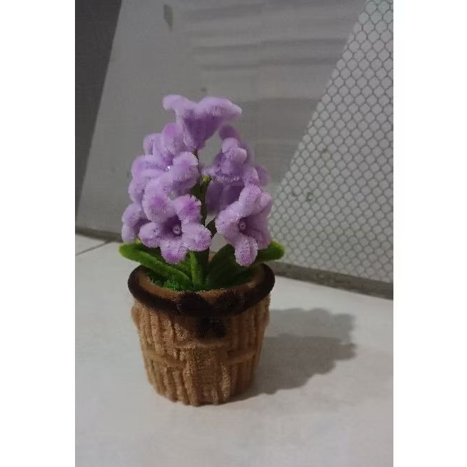 Custom Bunga Hyacinth & Pot