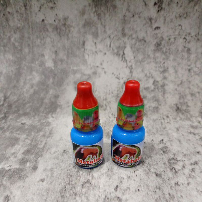 METABOLIS PENGGACOR BURUNG MANDEK